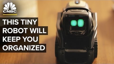 Amazon Alexa Has A New, Cute Competitor