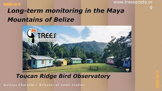 Long-term bird monitoring in the Maya Mountains of Belize