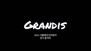 Grandis - [2022 정시 서울예대 전자음악 합격 박서영 미디 입시곡] screenshot 4