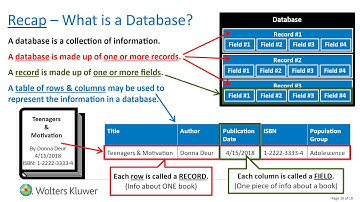 Ovid Help What is a Database