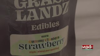 New dispensary opens in Luverne
