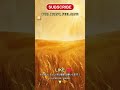 Abundant Fields 🌾 Earth Five-Tone Healing 五行 #Shorts