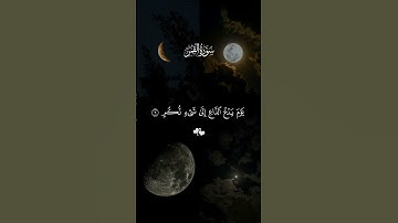 #قران_كريم #ماهر_المعيقلي #راحة_نفسية #quran #quran_kareem #قرآن #تلاوة_خاشعة #فيديو #foryou