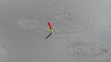 Câu Cá , Giật Hết Bầy Cá Rô Me Ngay Mặt Bọng Ruộng Lúa