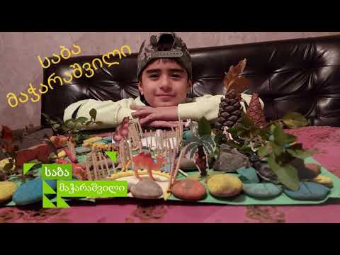 თბილისის N90 სკოლის მეორეკლასელებმა დიორამები შექმნეს