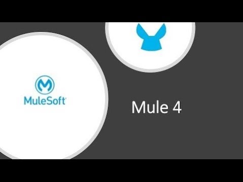 Video: Jak přidáte zástupný symbol zabezpečené vlastnosti v mule?