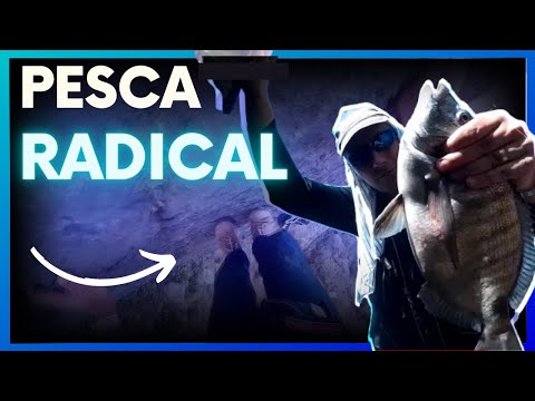 SEGREDOS DE PESCA - PESCA RADICAL
