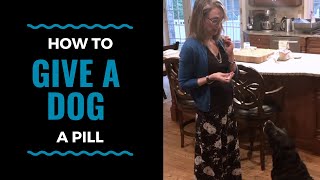 How to Give a Dog a Pill: Vlog 70