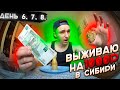 ВЫЖИВАНИЕ ПП на 1000 РУБ ЗИМОЙ в СИБИРИ / День 6, 7, 8.