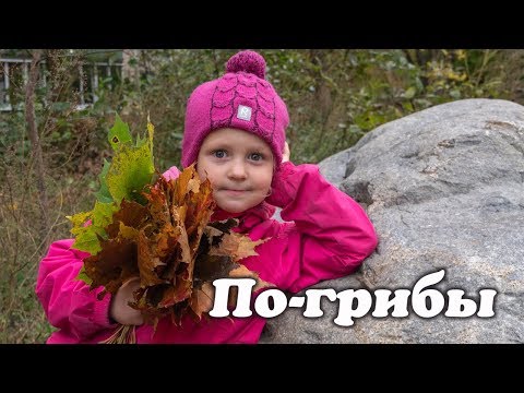 По грибы. Ребёнок первый раз в жизни собирает грибы.