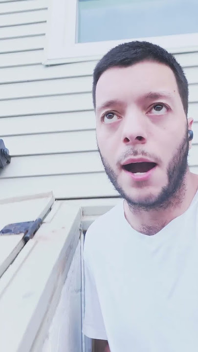 V1 0002 vlogs00000000