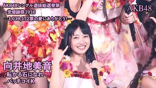 AKB48峯岸チームK - 転がる石になれ＋バッチコイK Korogaru Ishi ni Nare Bacchikoi K (Mukaichi Mion Center)