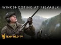 Shooting high pheasant and partridge at rievaulx sporting