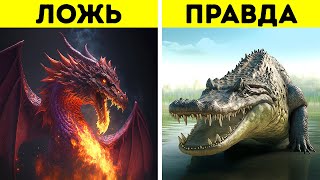 Подлинная история драконов: откуда появились огнедышащие чудовища