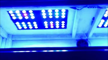 Ocean Revive T247 Teardown and Review Reef Tank Chinese Blackbox LED