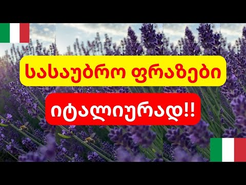 სასაუბრო ფრაზები იტალიურად!!