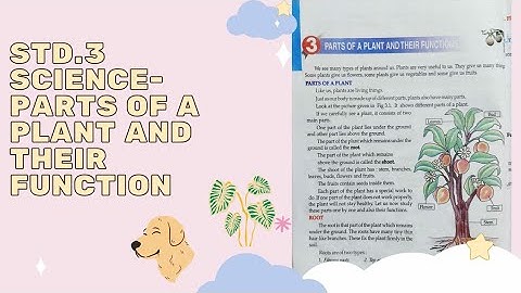 STD.3- SCIENCE- -CHAPTER.3- PARTS OF A PLANTS WND AND THEIR FUNCTION