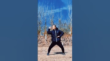 #bajiquan is forever charmingly beautiful #chinesemartialarts #kungfu #martialarts