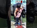 #shortvideos#shortsviral #rdr2#ytshorts #ytshort #shortfeed #shorts #viral #gaming #rdr2online