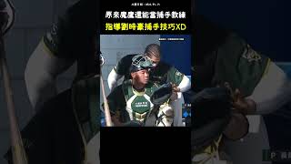 魔鷹十八般武藝樣樣精通(?) Baseball Catching Tip from a Veteran . #CPBL #中華職棒 #Baseball #魔鷹 #劉時豪
