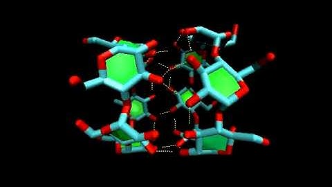 α-cyclodextrin dimer molecular dynamics simulation