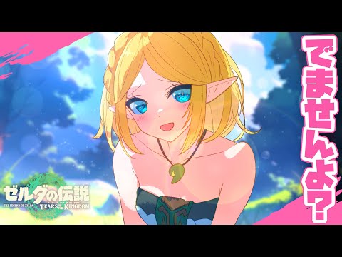 【ゼルダ漫画】追加DLCは出ないとリンクに伝えるゼルダ姫※メタ発言【#ティアーズオブザキングダム #ゼルダの伝説 #漫画 】