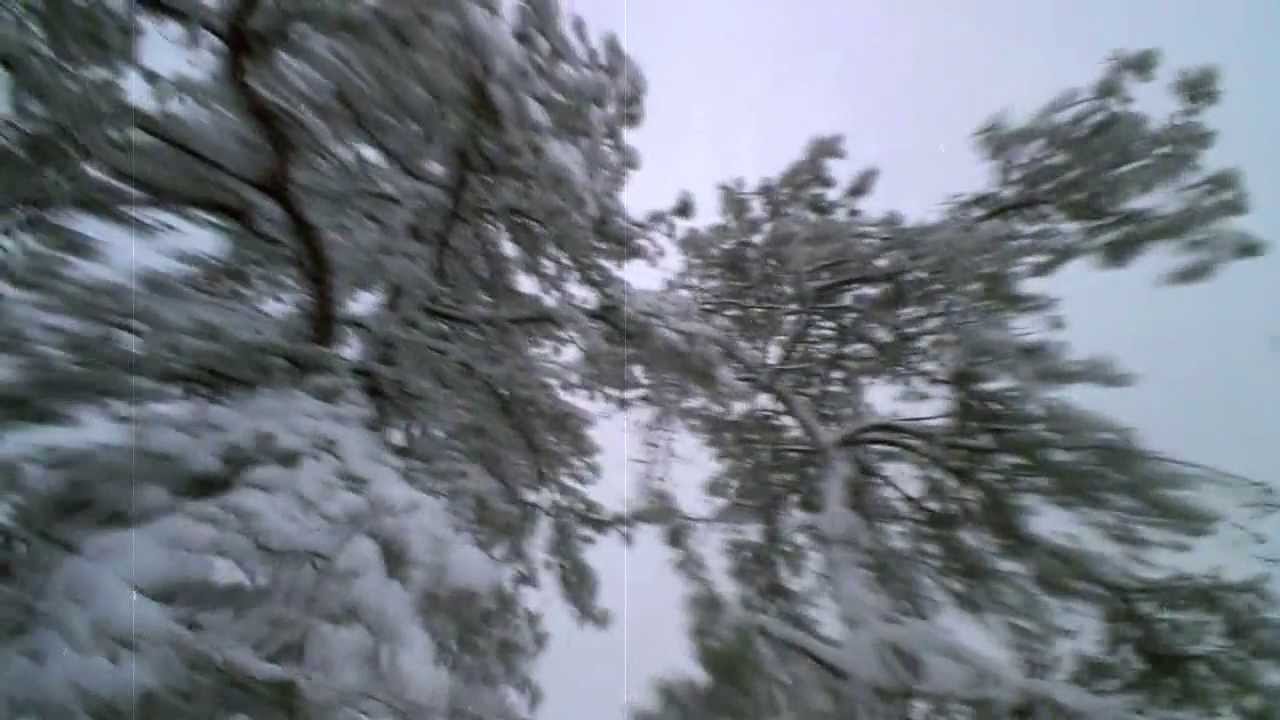 Bill Berends - The Longest Winter