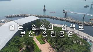 송림공원 영상