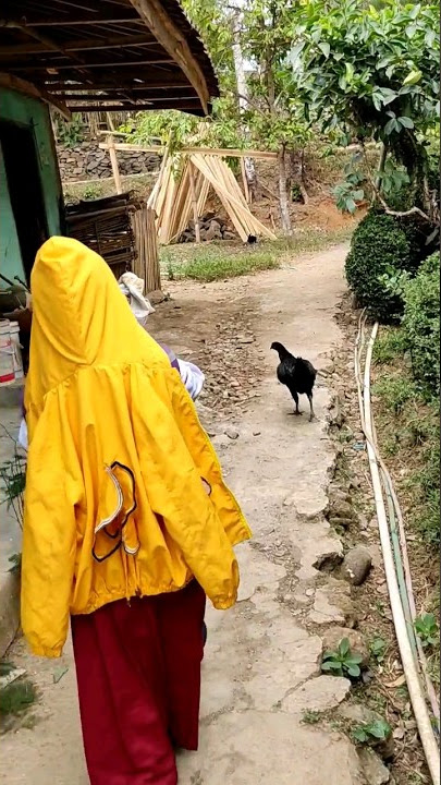 Fahira Pulang Sekolah... #shorts