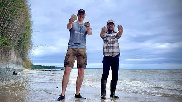 Collecting HUGE Fossil Shells with WILDKYLE! | Calvert Cliffs Fossils