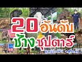 ชม❗ช้างซุปตาร์❗20 อันดับ❗บ้านตากลาง จ.สุรินทร์ #elephant อัพเดท 06/10/2564 #elephantthailand