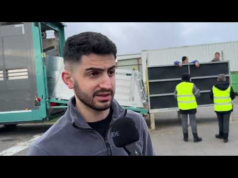 مؤسسة اكتفاء تتسلم أولى دفعات الأبقار لمزرعتها من مطار الشارقة الدولي