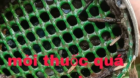 mòi.thu.ốc#này đặc trúm lươn#còn gì bằng#có lương#là vô#cứng ống#trúm luôn#)
