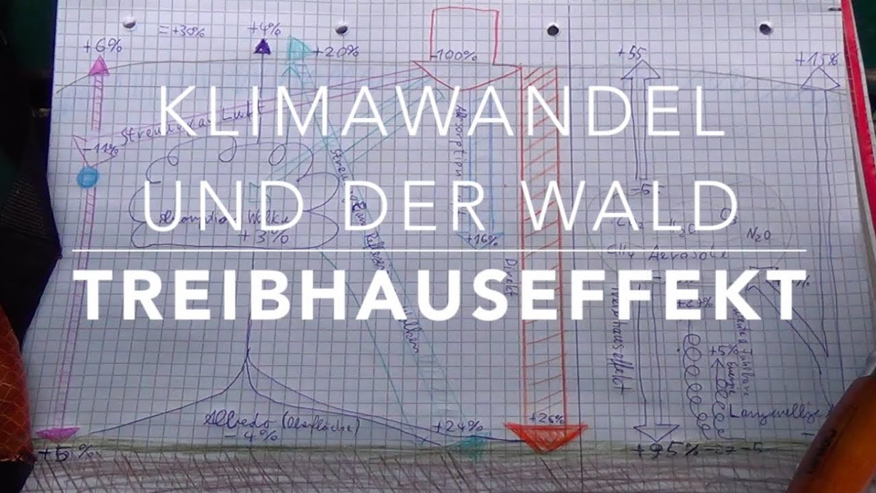 Der Treibhauseffekt (Klimawandel und der Wald) - YouTube