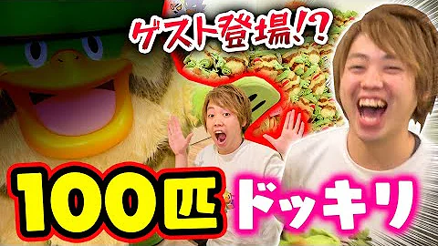 ルンパッパ