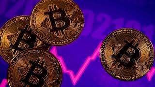 Information Visa moves to allow payment settlements using cryptocurrency News
