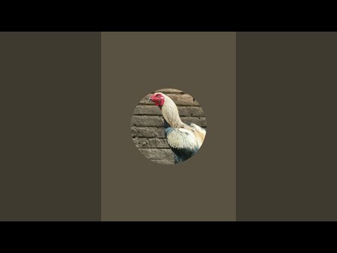 SNEHA FARMS is live