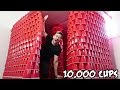 DIY GIANT CUP FORT!! (10,000 CUPS) DIY GIANT CUP FORT!! (10,000 CUPS)