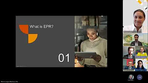 Extended Producer Responsibility (EPR)