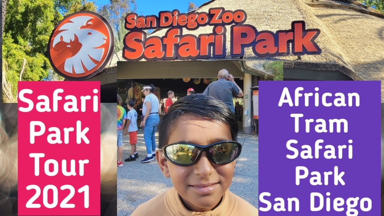 San Diego Safari Zoo Park Tour African Tram San Diego Zoo Safari Park