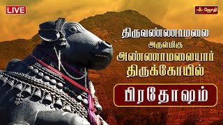 🔴LIVE: திருவண்ணாமலை ஸ்ரீஅருணாச்சலேஸ்வரர் கோயில் | பிரதோஷம் | Pradosham | Nandi Abhishekam | Jothitv