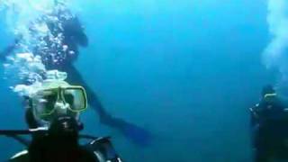 Scuba Csb At Stony Glen Camp