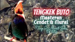 Tengkek Buto Durasi 15 Menit Jeda 10 - 15 Detik || Masteran Cendet, Murai, Kolibri, Kacer..