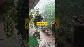 രാത്തിങ്കൾ പൂത്താലി ചാർത്തി കണ്ണിൽ നക്ഷത്ര sobha garmens xu100