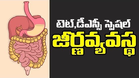 TET & DSC Biology ||digestive system ||TELUGU