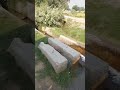 #fifaworldcup #shortsvideo #shortsviral #sports #viralvideo #viral