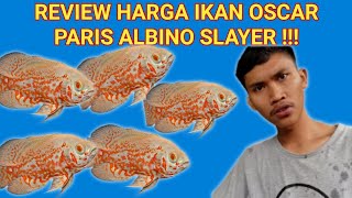Download lagu MURAH JON HARGA IKAN OSCAR PARIS ALBINO SLAYER  COCOK BUAT PARTAIAN.