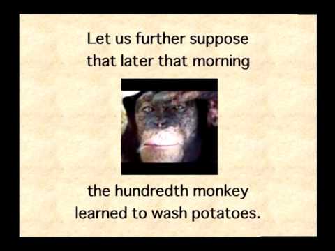 Home - 100th Monkey