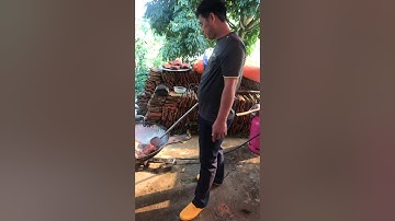 Cố đám bốc mộ dân tộc Lạng Sơn