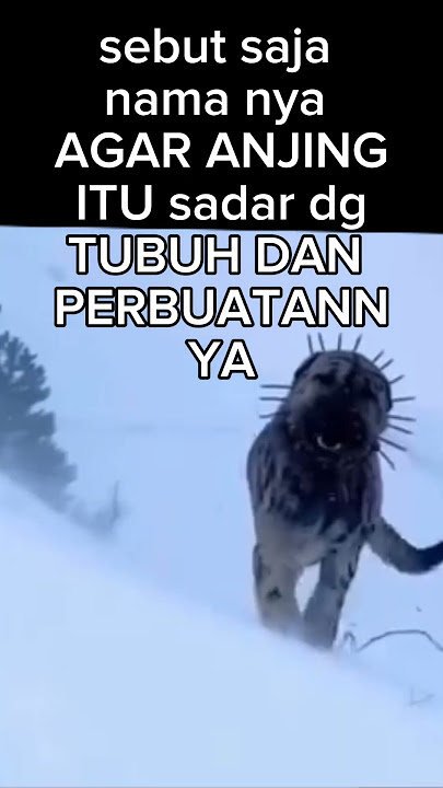 BACAAN BERTEMU ANJING GANAS #vedioviral  #DOA #NASEHAT #amazingfacts